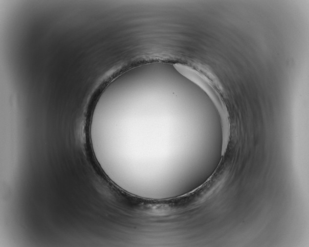 X0000099580395200805301603