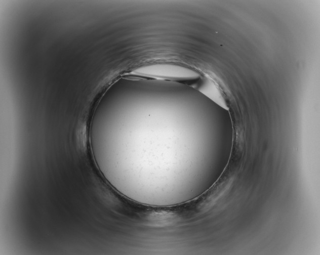 X0000099580397200805301603