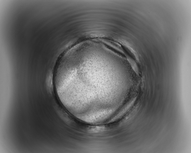 X0000099580398200805301603