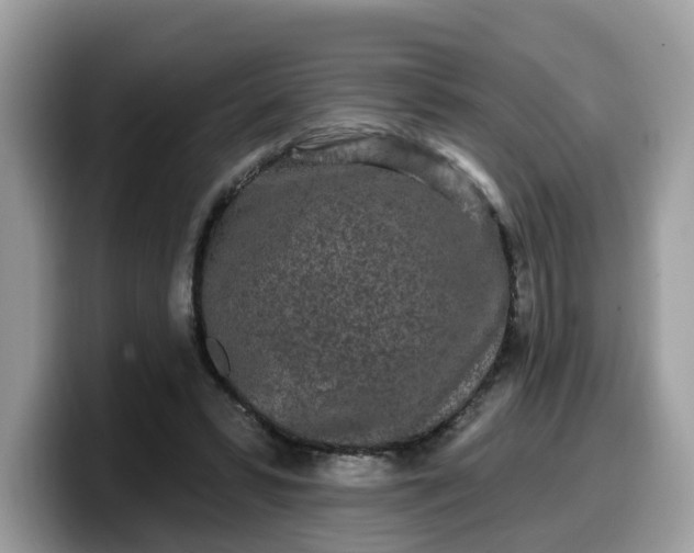 X0000099580399200805301603