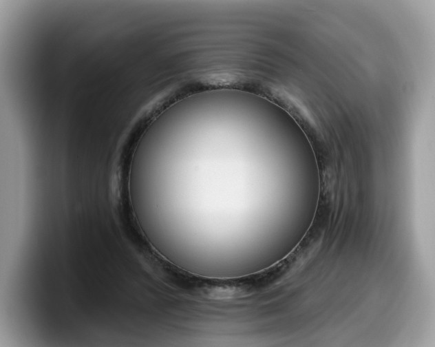 X0000099580400200805301603