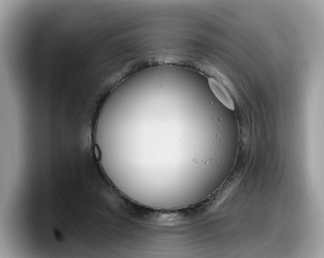 X0000099580401200805301603