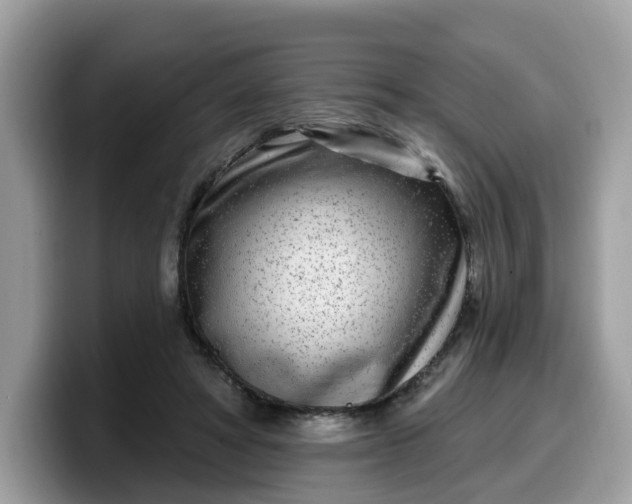 X0000099580402200805301603