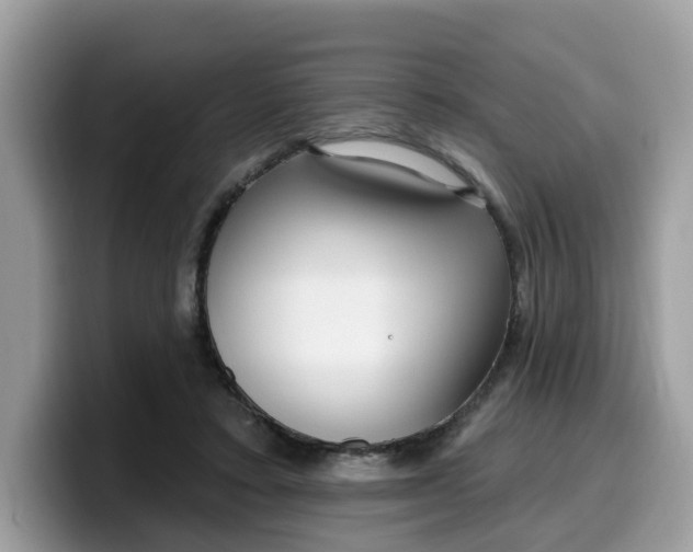 X0000099580403200805301603