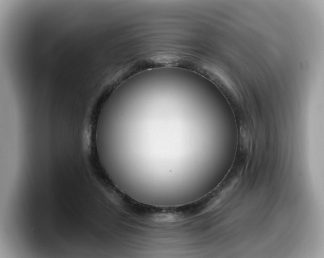 X0000099580404200805301603