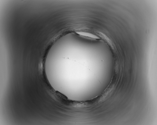 X0000099580405200805301603