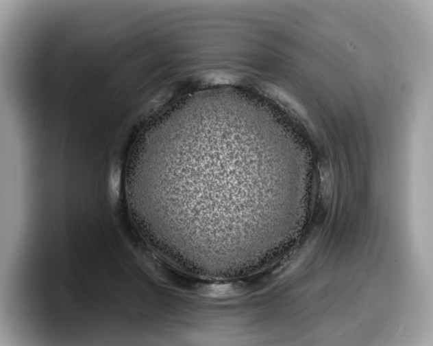 X0000099580406200805301603