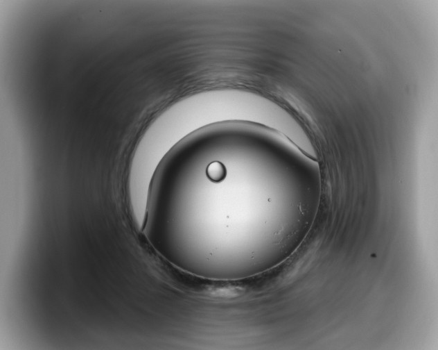 X0000099580407200805301603