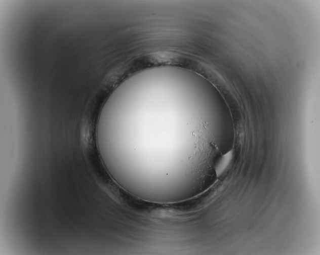 X0000099580408200805301603