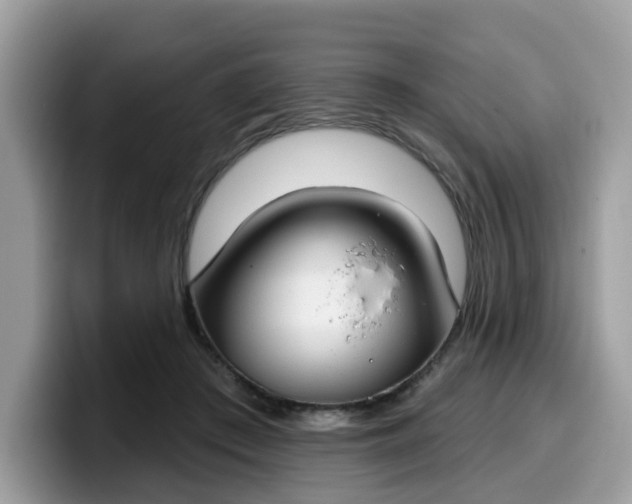 X0000099580409200805301603