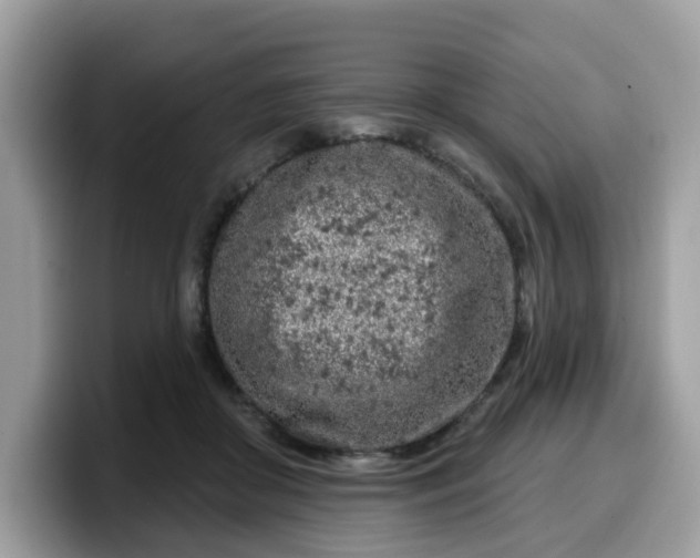 X0000099580410200805301603