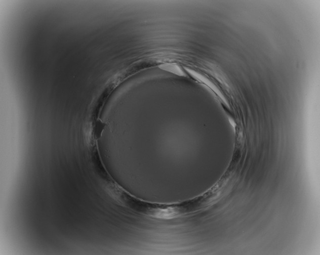 X0000099580411200805301603