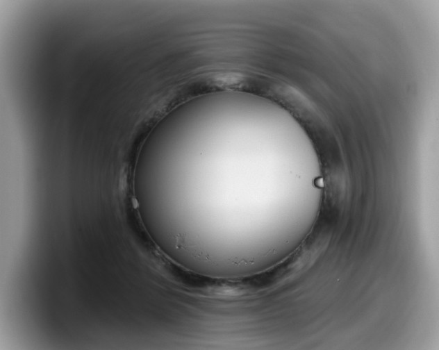 X0000099580412200805301603