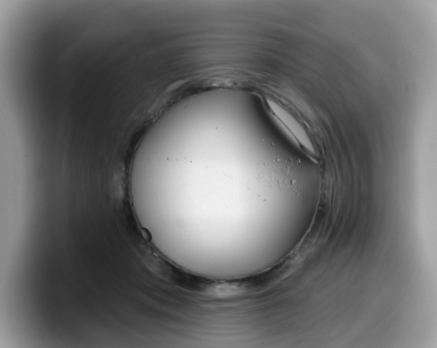 X0000099580413200805301603