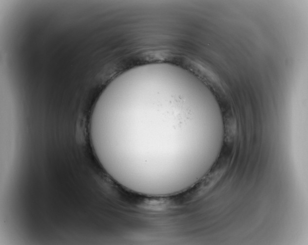 X0000099580414200805301603