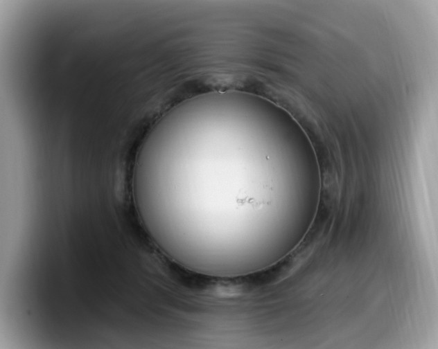 X0000099580416200805301603