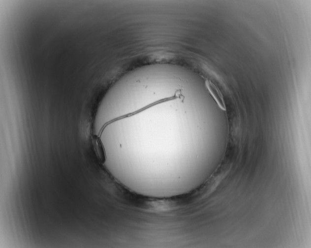 X0000099580417200805301603