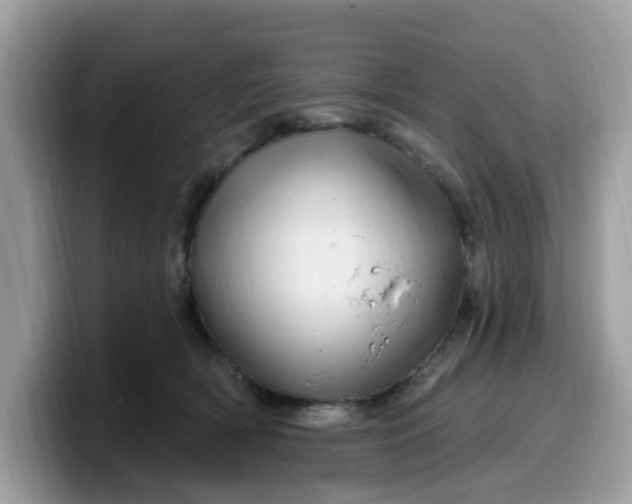 X0000099580418200805301603