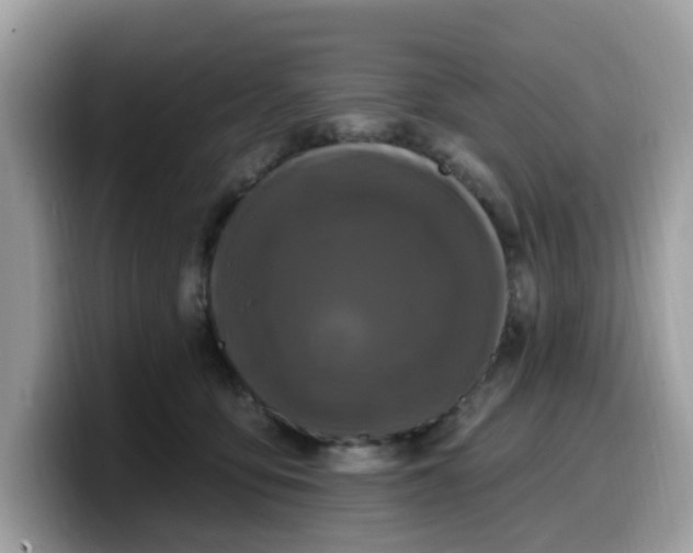 X0000099580419200805301603