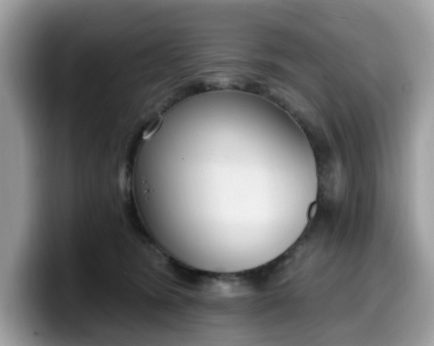 X0000099580420200805301603