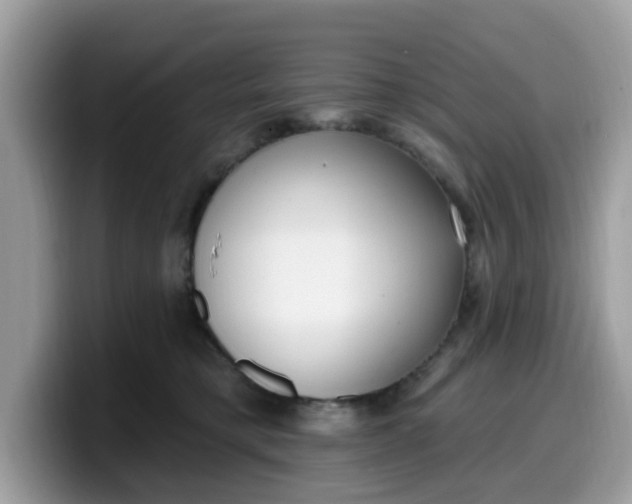 X0000099580421200805301603