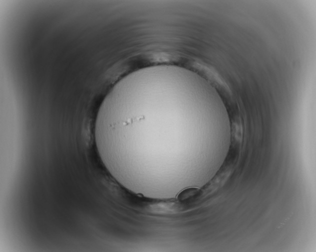 X0000099580422200805301603