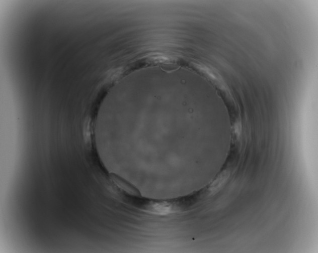 X0000099580423200805301603