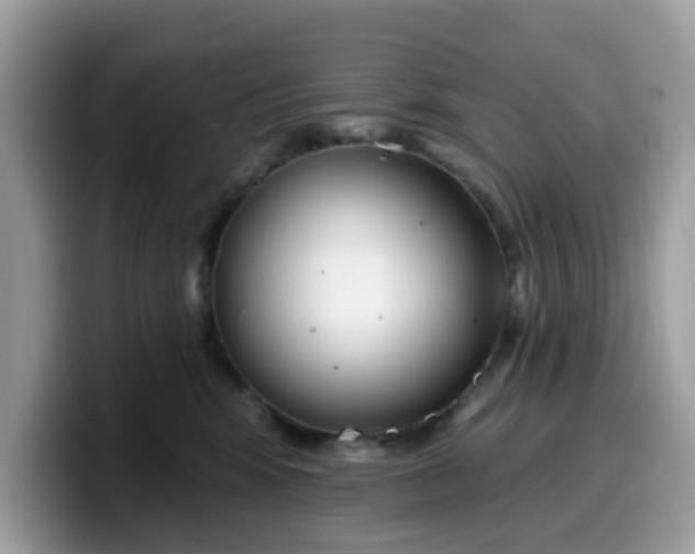 X0000099580424200805301603