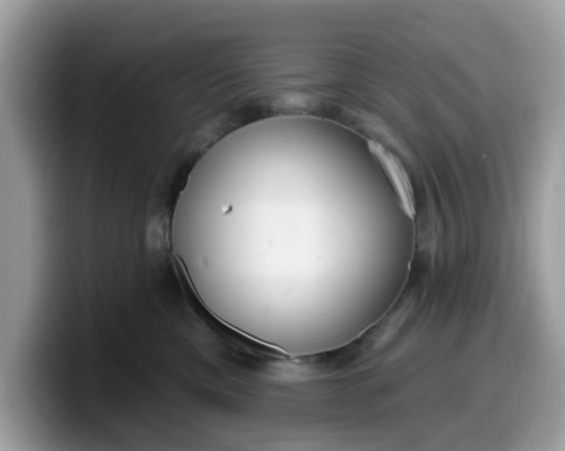 X0000099580425200805301603