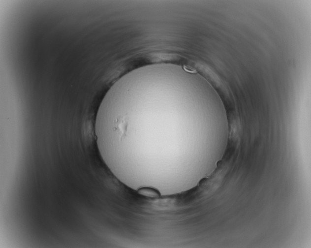 X0000099580426200805301603