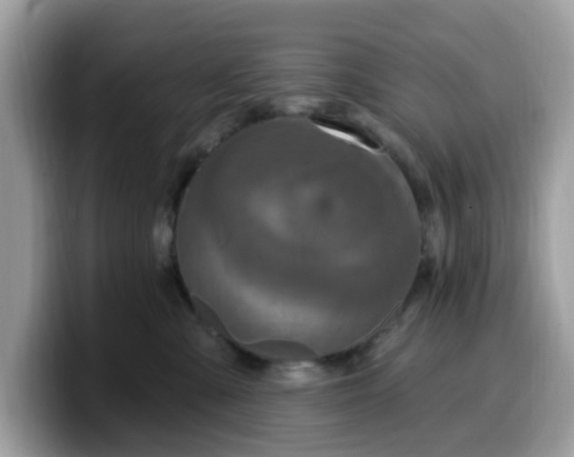 X0000099580427200805301603