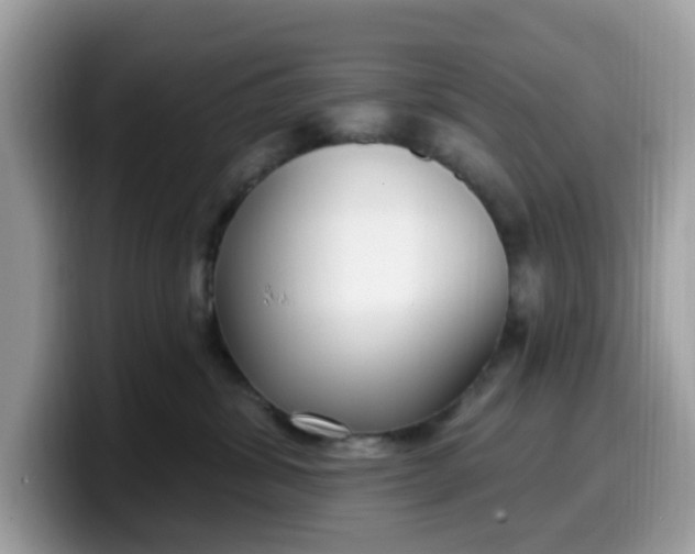 X0000099580428200805301603