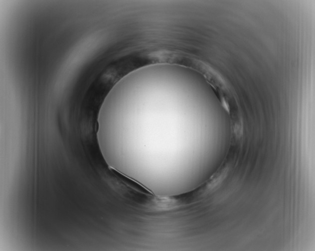 X0000099580429200805301603