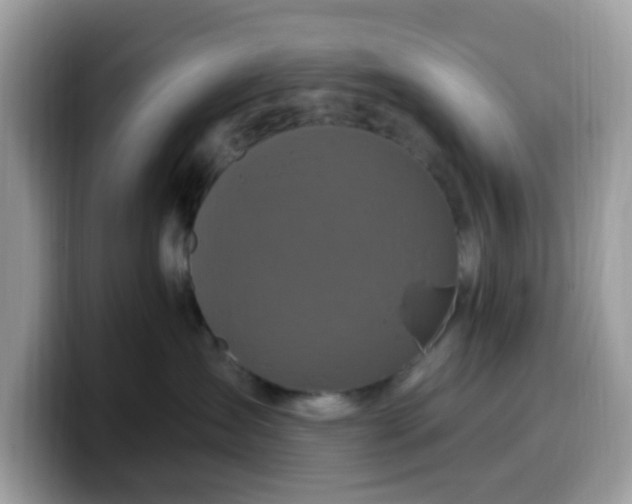 X0000099580431200805301603