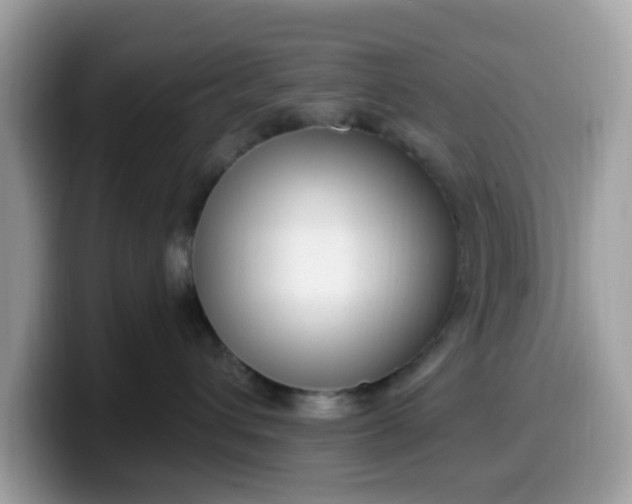 X0000099580432200805301603