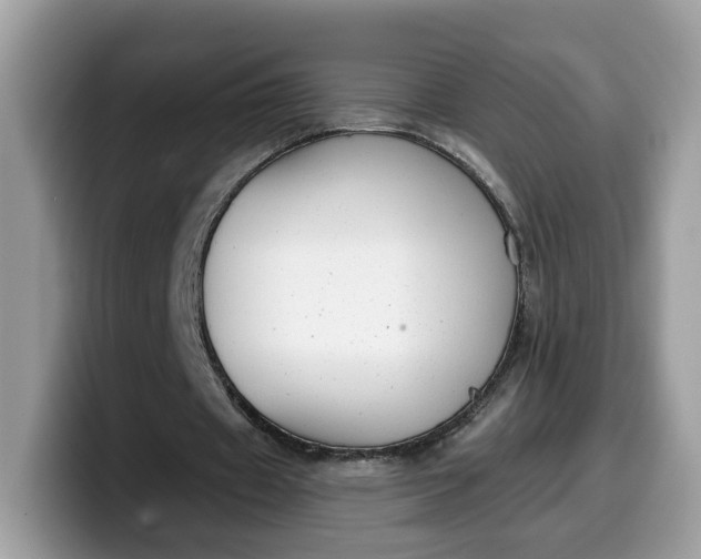 X0000099580433200805301602