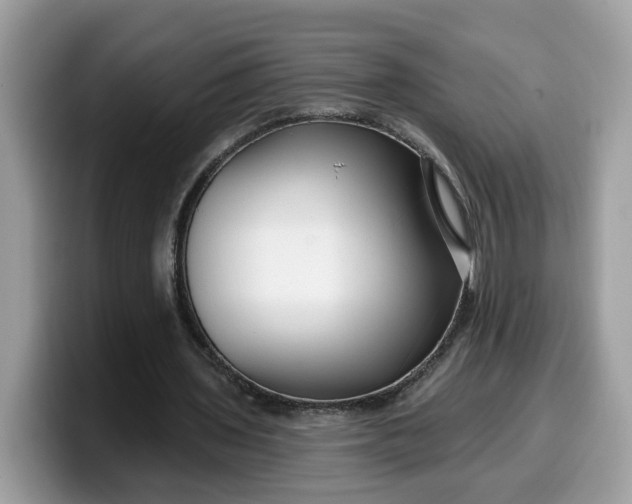 X0000099580435200805301602