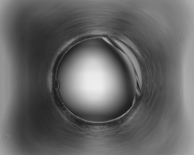 X0000099580436200805301602