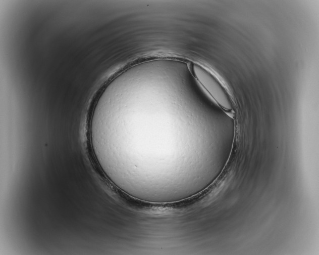 X0000099580437200805301602