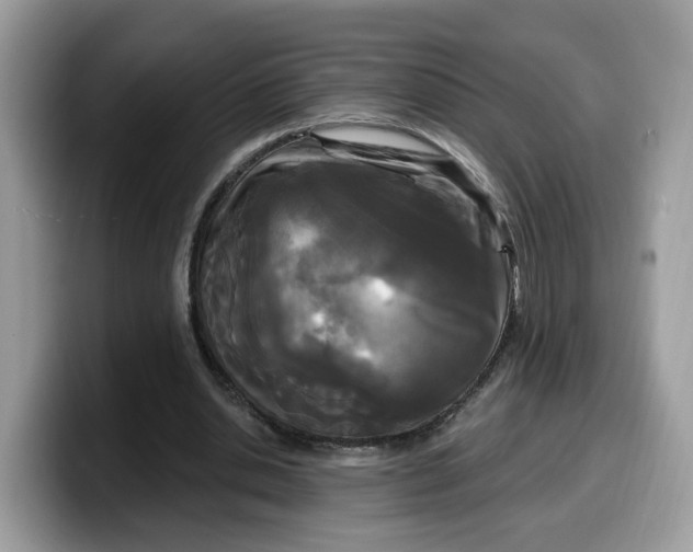 X0000099580438200805301602