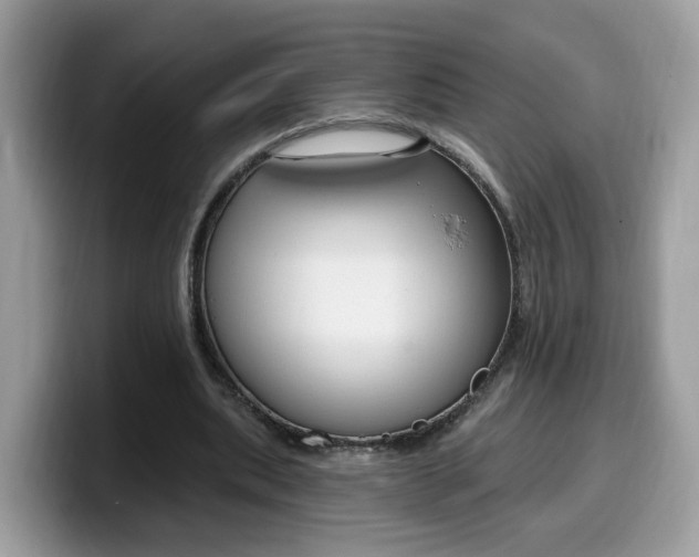 X0000099580439200805301602