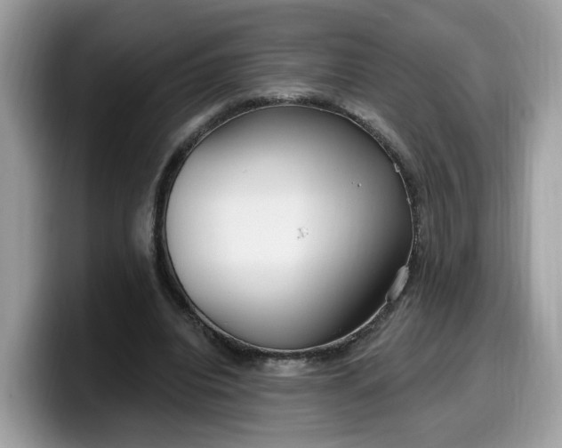 X0000099580440200805301602