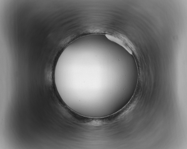 X0000099580441200805301602