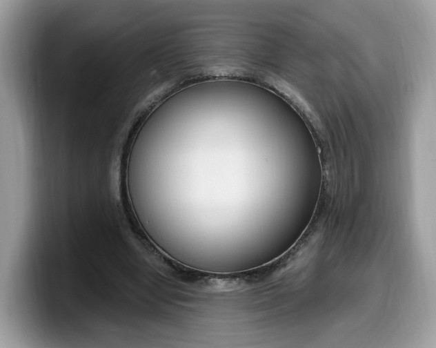 X0000099580442200805301602