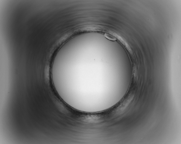 X0000099580445200805301602