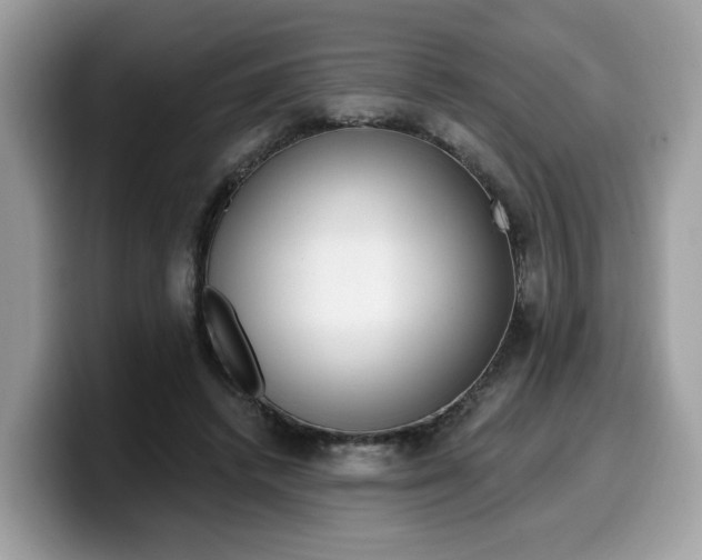 X0000099580448200805301602