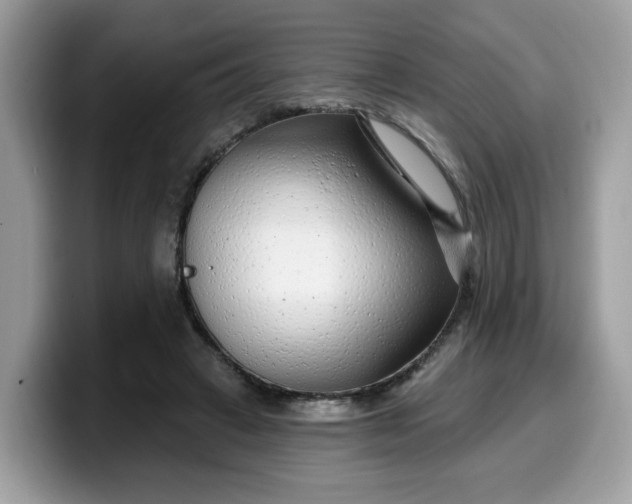 X0000099580449200805301602