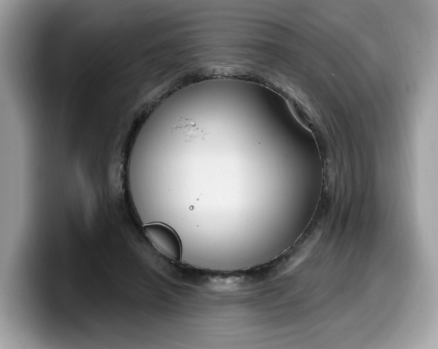 X0000099580450200805301602