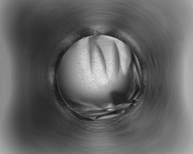 X0000099580451200805301602