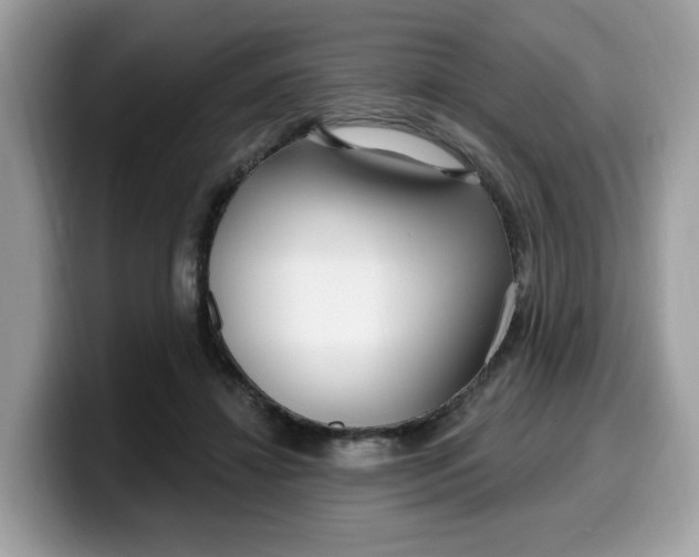 X0000099580452200805301602